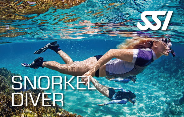 Two women snokelling in clear blue water. SSI Snorkel Diver poster